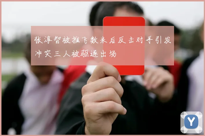 张淳智被推飞数米后反击对手引发冲突三人被驱逐出场