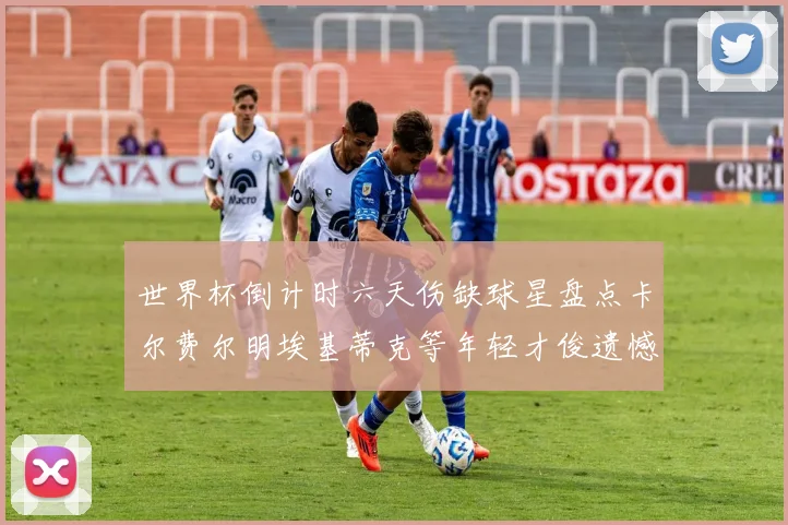 世界杯倒计时六天伤缺球星盘点卡尔费尔明埃基蒂克等年轻才俊遗憾缺席