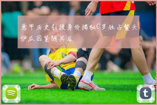 意甲历史引援身价揭秘C罗独占鳌头伊瓜因紧随其后